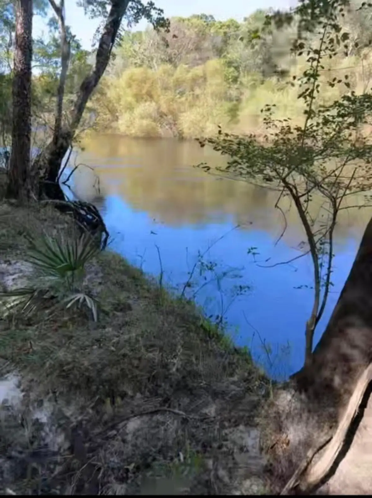 0 Mcdanieltown Road, Ridgeville, SC 29472 - #1