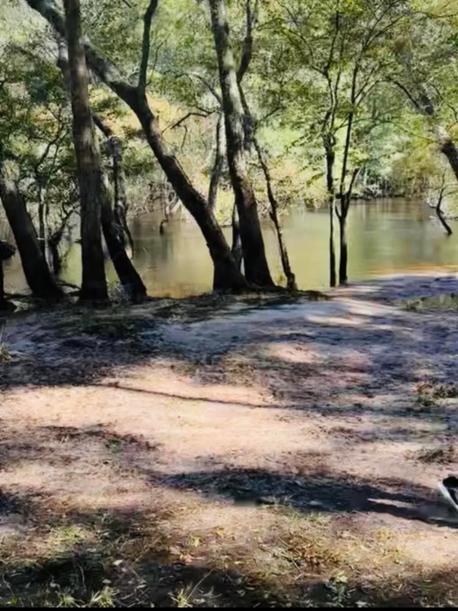 0 Mcdanieltown Road, Ridgeville, SC 29472 - #2