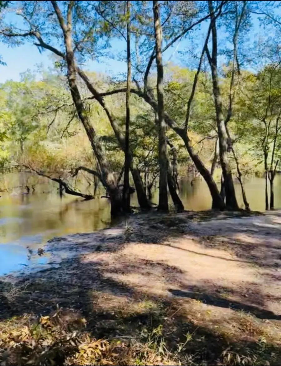 0 Mcdanieltown Road, Ridgeville, SC 29472 - #3