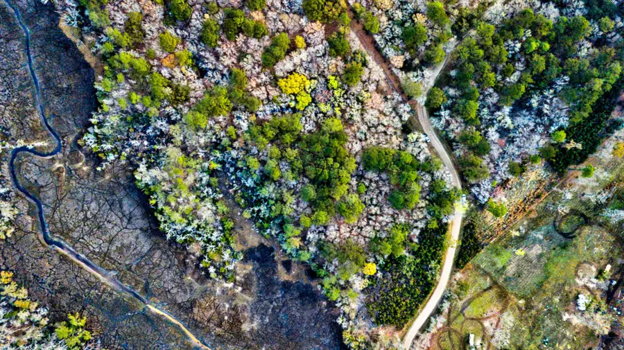 0 Cooke Road #Lot 2, Johns Island, SC 29455 - #3