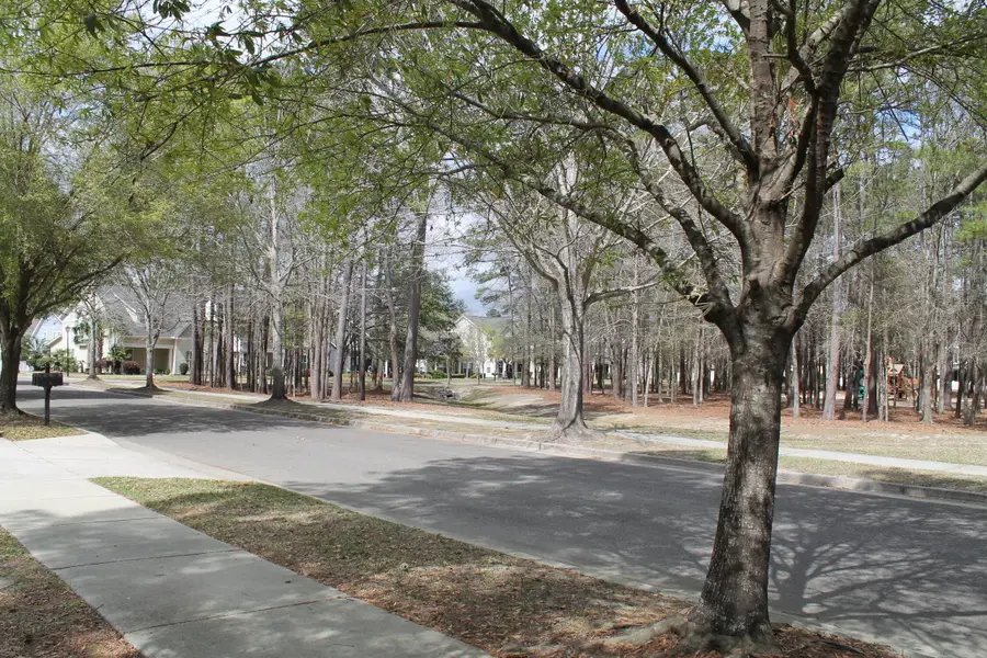 228 Comiskey Park Circle, Summerville, SC 29485 - #2