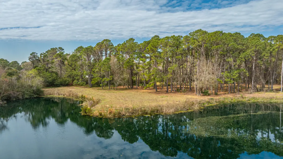 4297 Wild Turkey Way, Johns Island, SC 29455 - #1