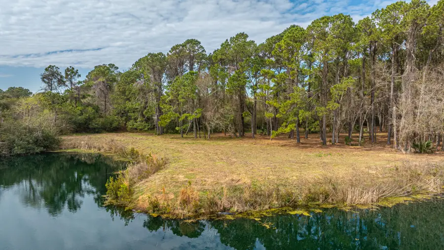 4297 Wild Turkey Way, Johns Island, SC 29455 - #3