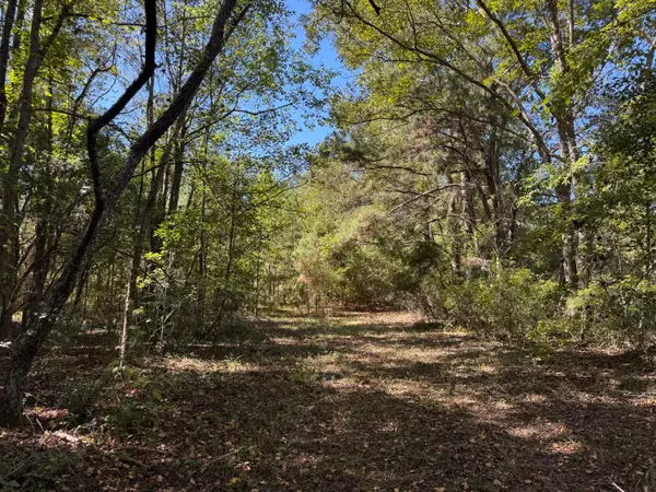 0 Clarks Hill Drive #1, Saint George, SC 29477