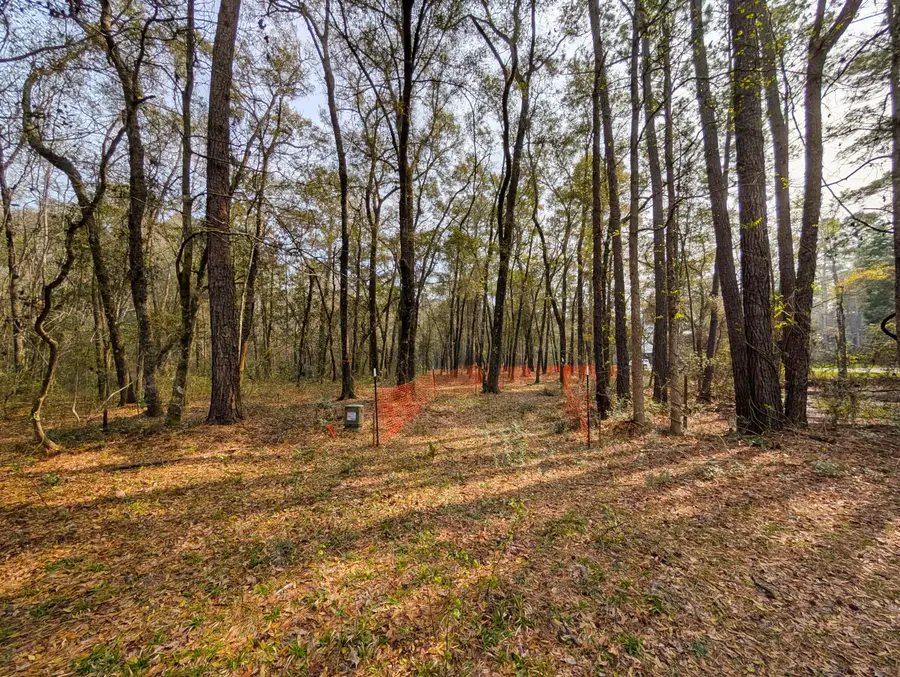 245 Warren Drive, McClellanville, SC 29458 - #3
