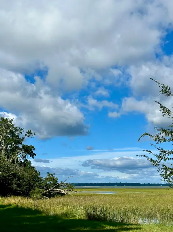 7950 Hopkins Pl Drive #Lot 15, Edisto Island, SC 29438