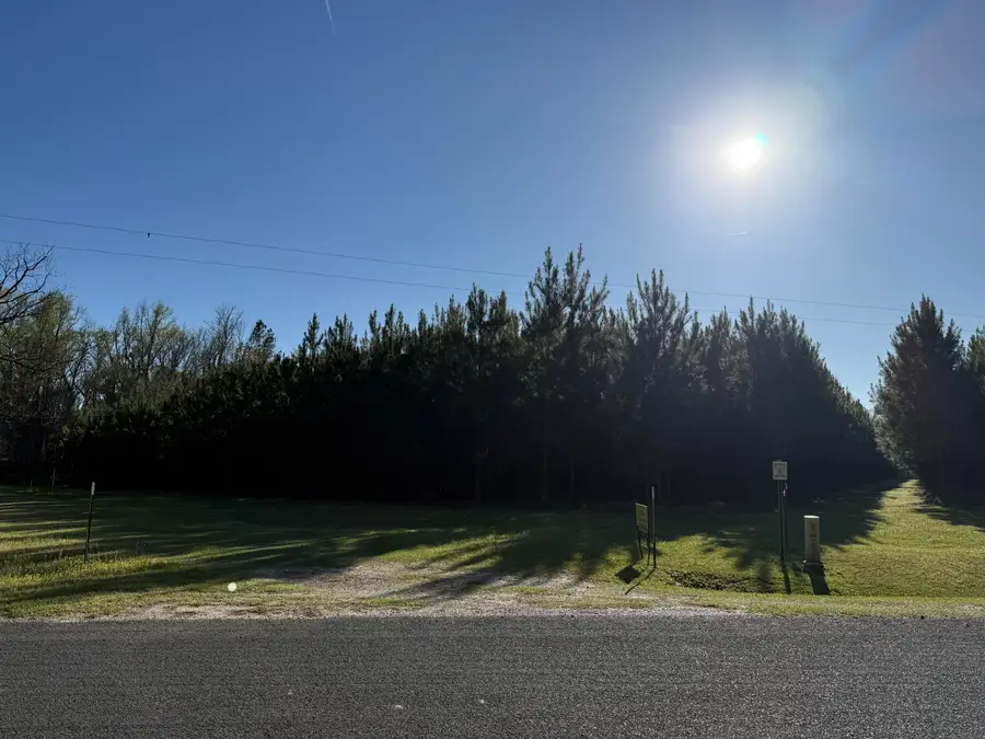 0 Polk Road, Islandton, SC 29929 - #3