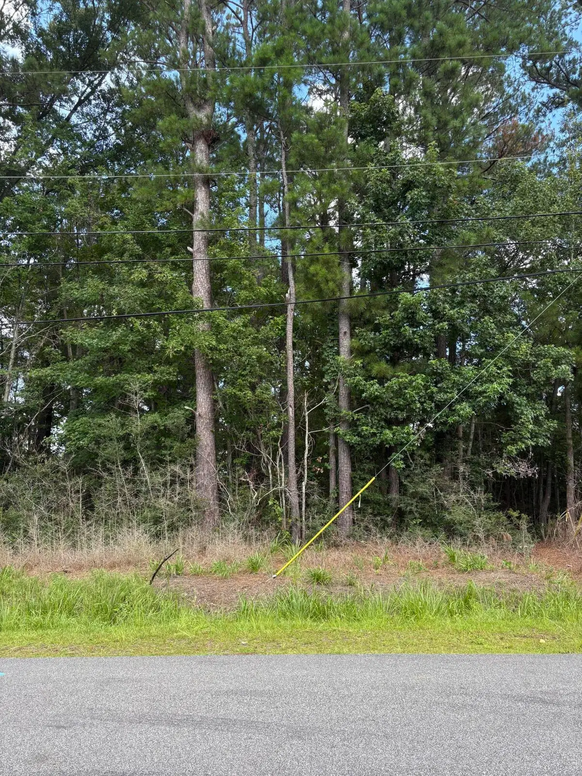 0 University Drive #Lot 185, North Charleston, SC 29418 - #1
