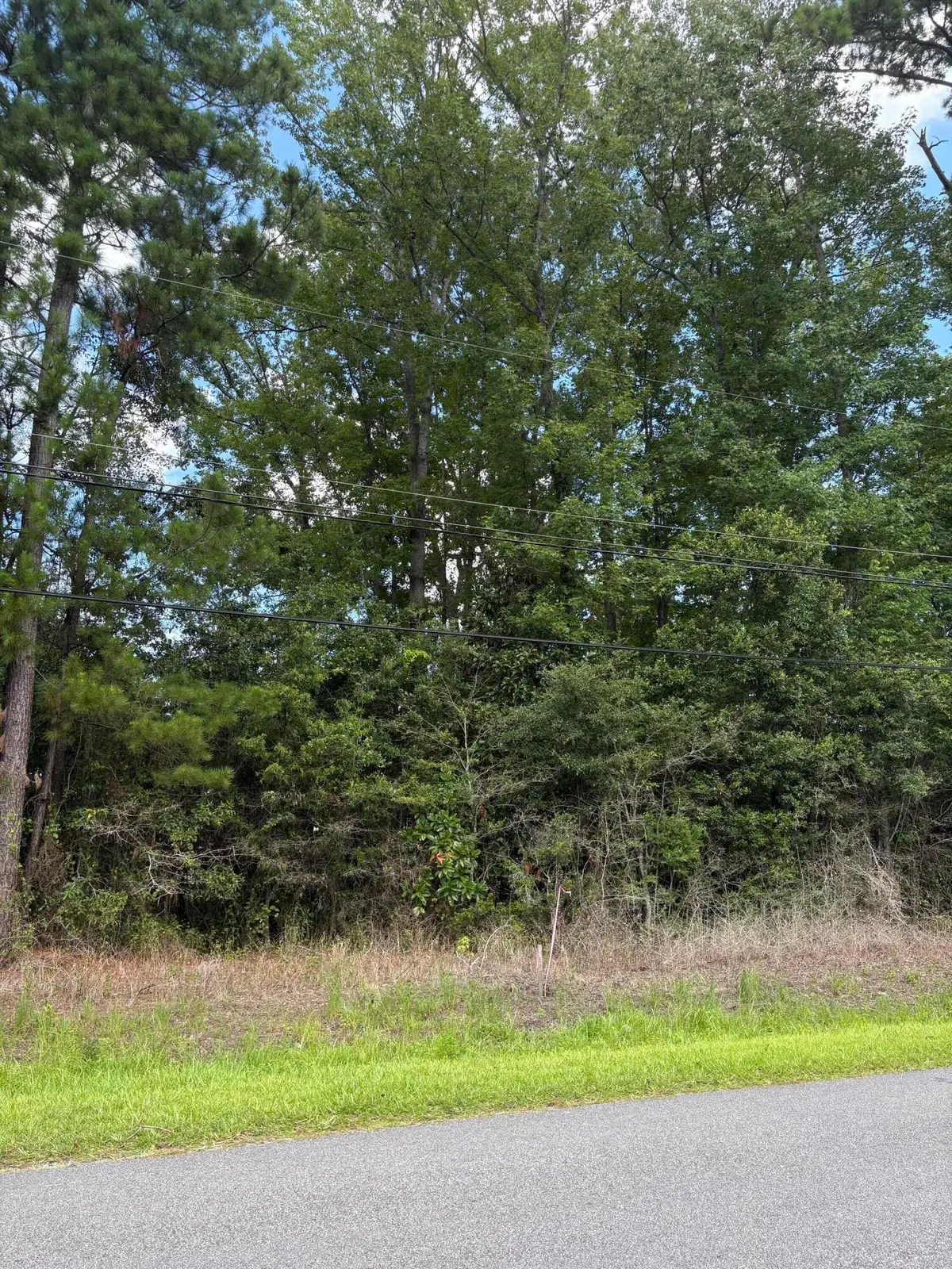 0 University Drive #Lot 190, North Charleston, SC 29418 - #1