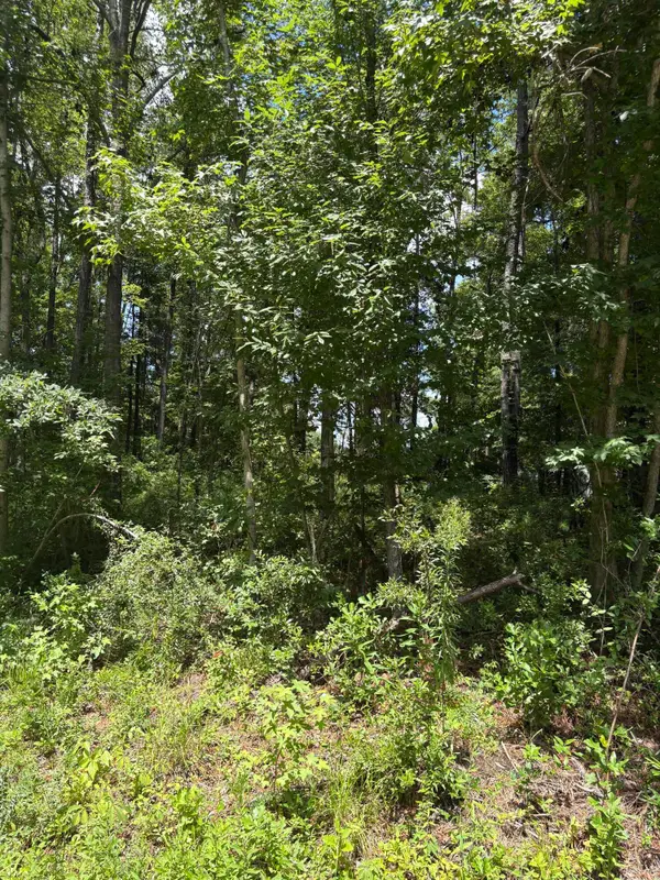 0 University Drive #Lot 224, North Charleston, SC 29418