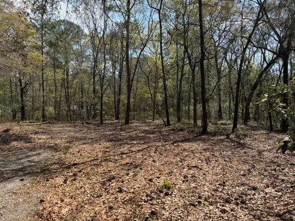 6321 Bears Bluff Road, Wadmalaw Island, SC 29487