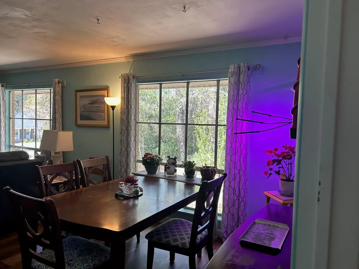 1000 Woodland Drive, Kingstree, SC 29556 - #1