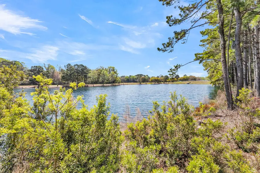 4173 Gnarled Oaks Lane, Johns Island, SC 29455 - #2