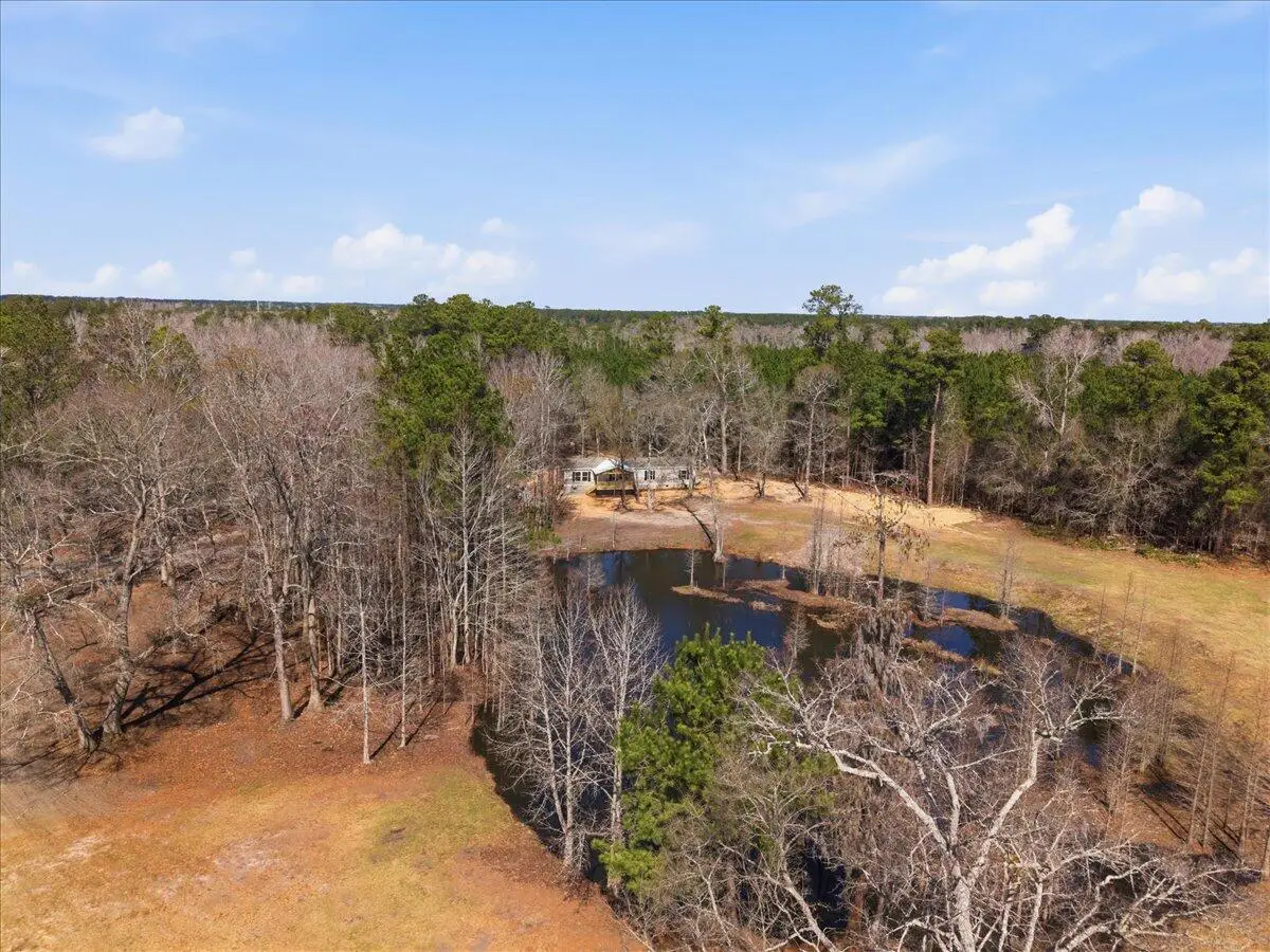662 Country Pond Lane, Cross, SC 29436 - #1