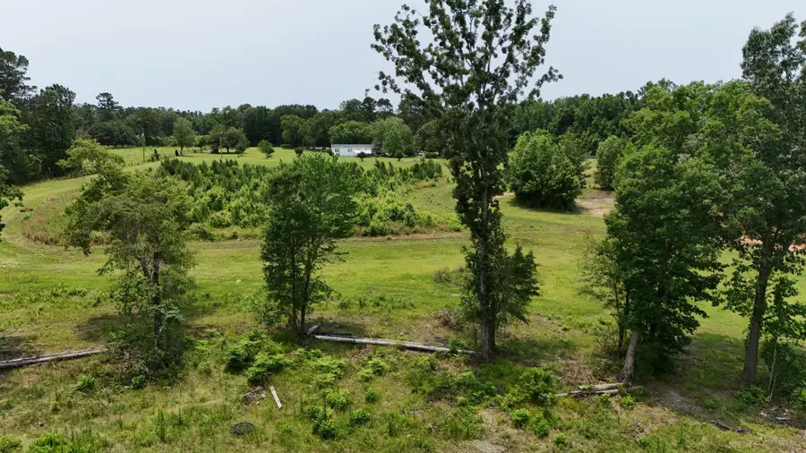 1701 Dawson Branch Road, Summerville, SC 29483 - #2