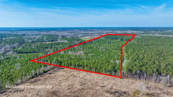 0 Lowcountry Highway, Ruffin, SC 29475