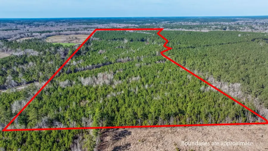 0 Lowcountry Highway, Ruffin, SC 29475 - #3