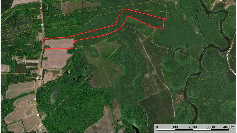 7753 Augusta Highway, Smoaks, SC 29481 - #2