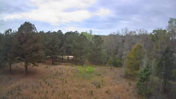 Tbd Salcro Lane Interior Parcel Highway, Smoaks, SC 29481