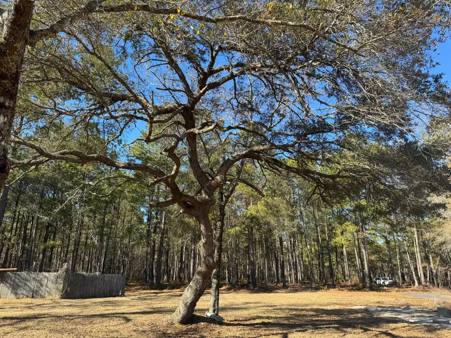 263 Brewer Road, Summerville, SC 29483 - #2