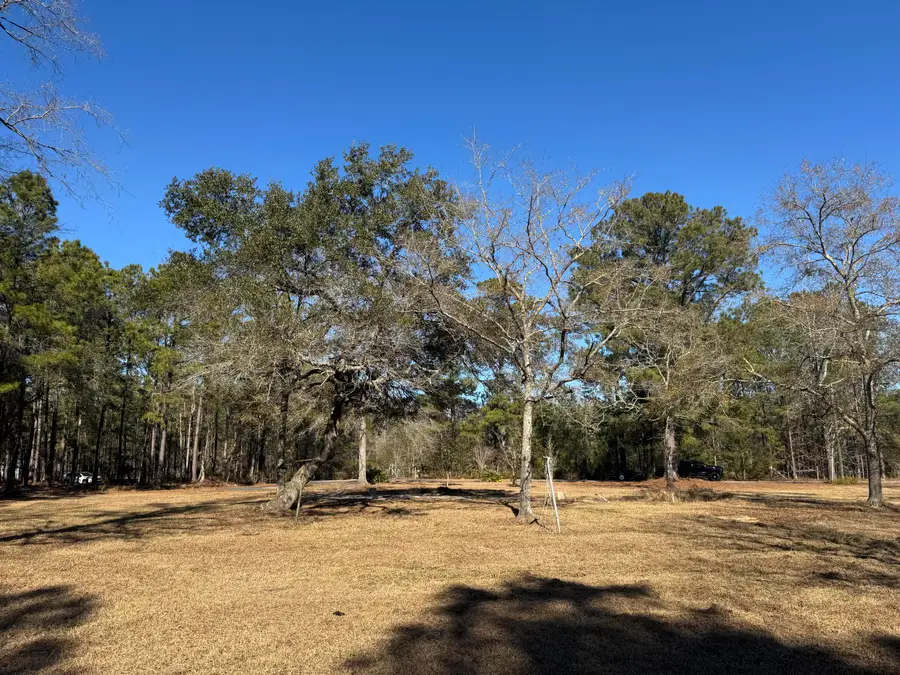 263 Brewer Road, Summerville, SC 29483 - #3