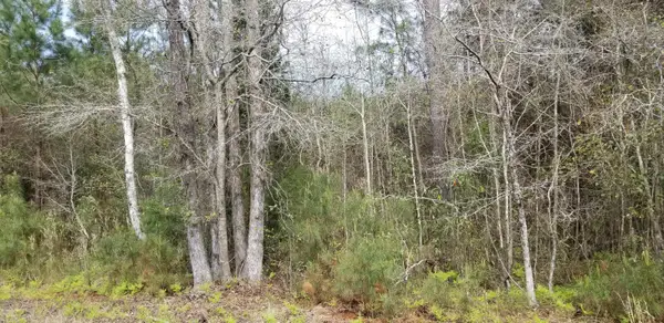 0 Randolph Drive, Smoaks, SC 29481