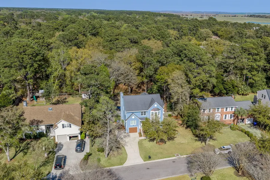 1464 Pine Island View, Mount Pleasant, SC 29464 - #2