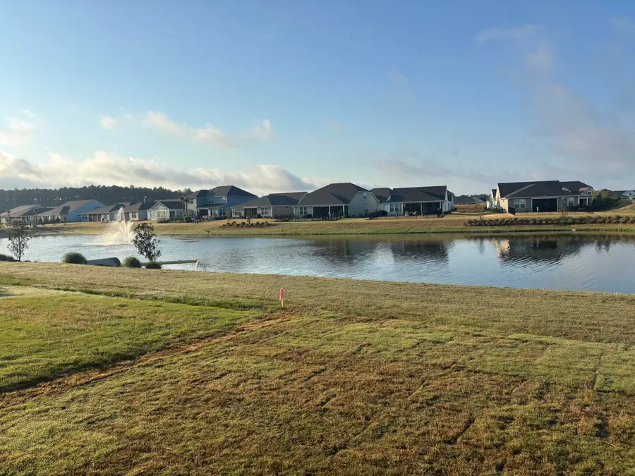 505 Pink Lily Lane, Summerville, SC 29486 - #3