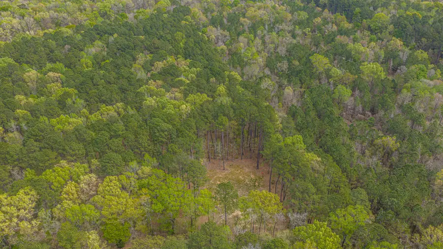 0 Busters Paradise Lane, Cordesville, SC 29434 - #2