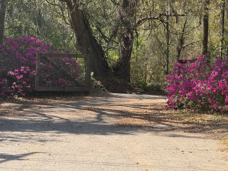 2907 River Road, Johns Island, SC 29455 - #3