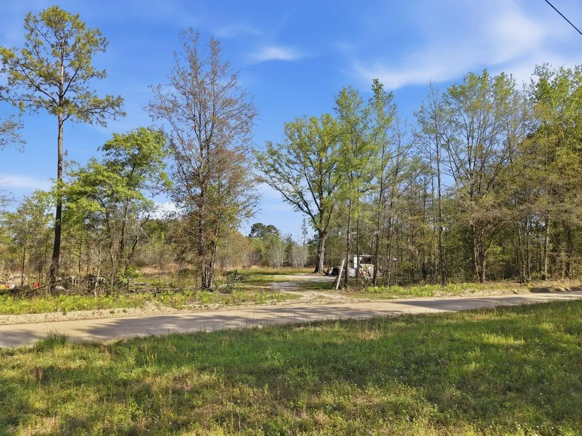N/A Longbrook Drive, Bowman, SC 29018 - #1
