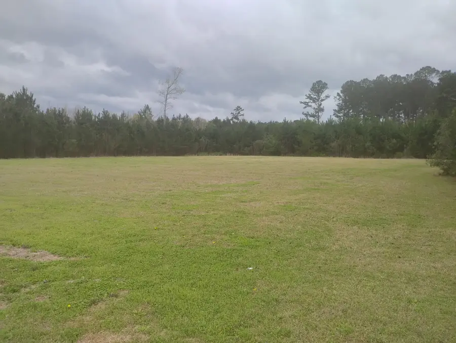 02 Davis Terrace, Saint George, SC 29477 - #2