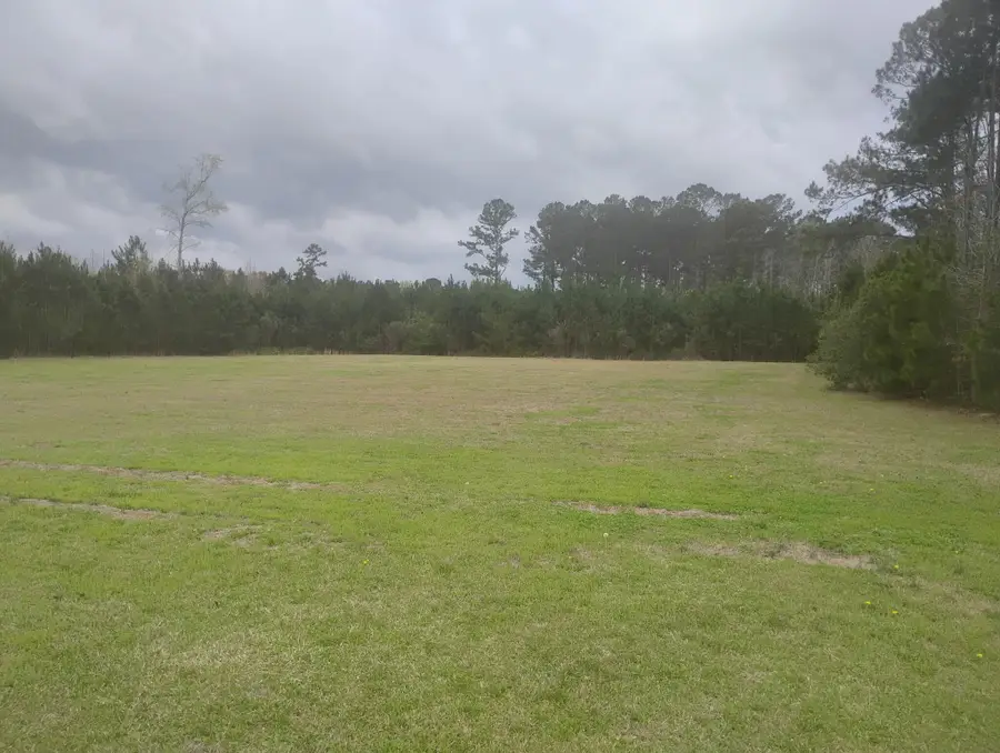 02 Davis Terrace, Saint George, SC 29477 - #3