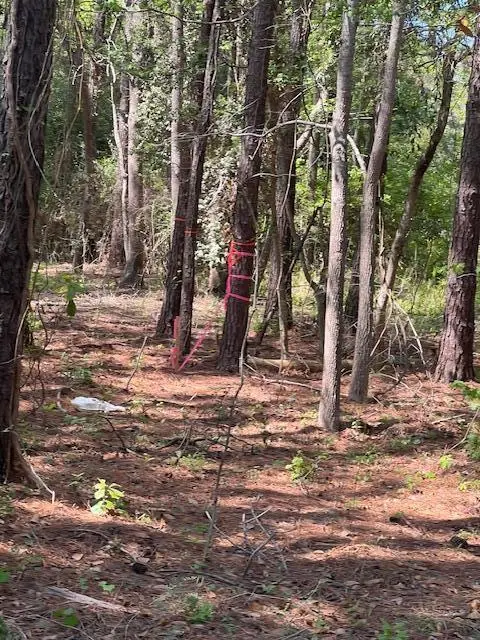 0 Lucys Lane, Mount Pleasant, SC 29466