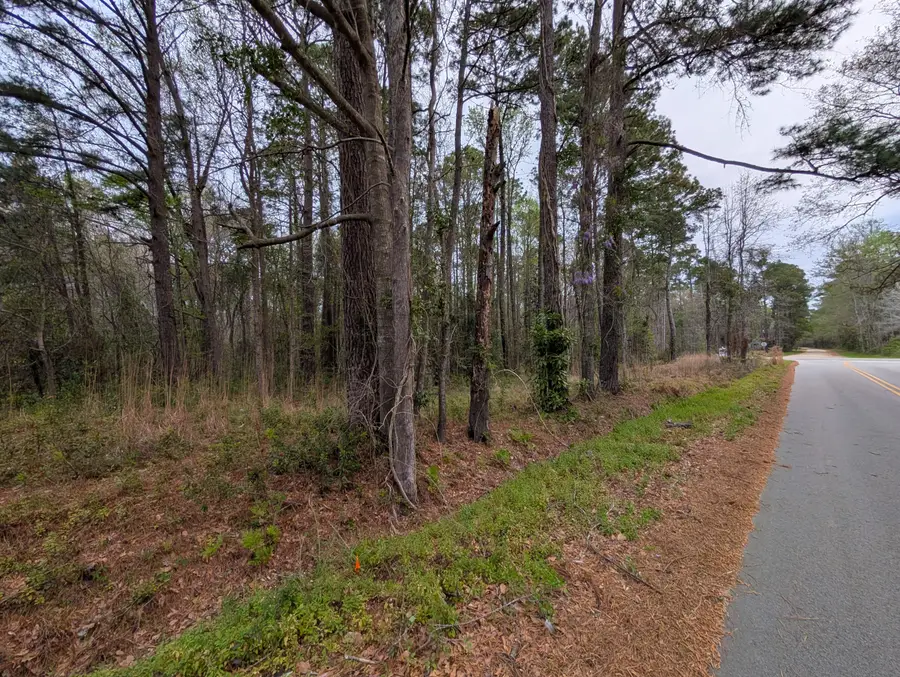 10218 Old Georgetown Road, McClellanville, SC 29458 - #3