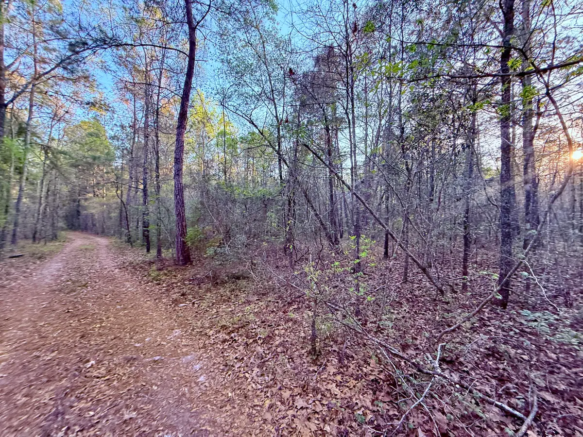 430 Weenee Road, Jamestown, SC 29453 - #1