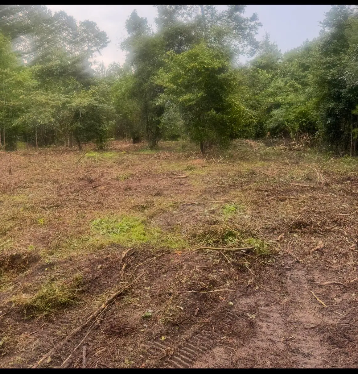 1 Abandon Lane Lane, Summerville, SC 29486 - #1