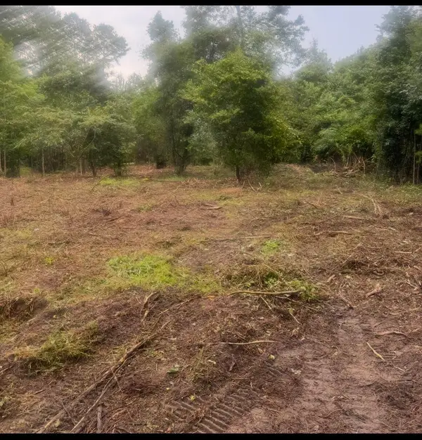 1 Abandon Lane Lane, Summerville, SC 29486