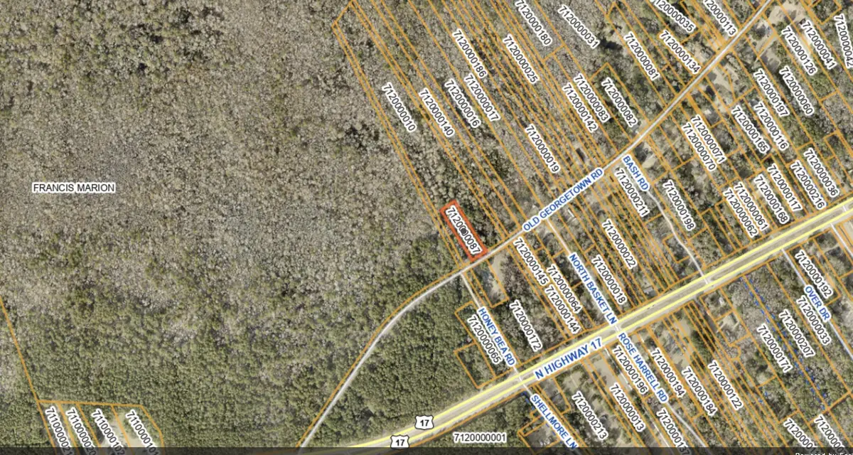 8448 Old Georgetown Road, McClellanville, SC 29458 - #1