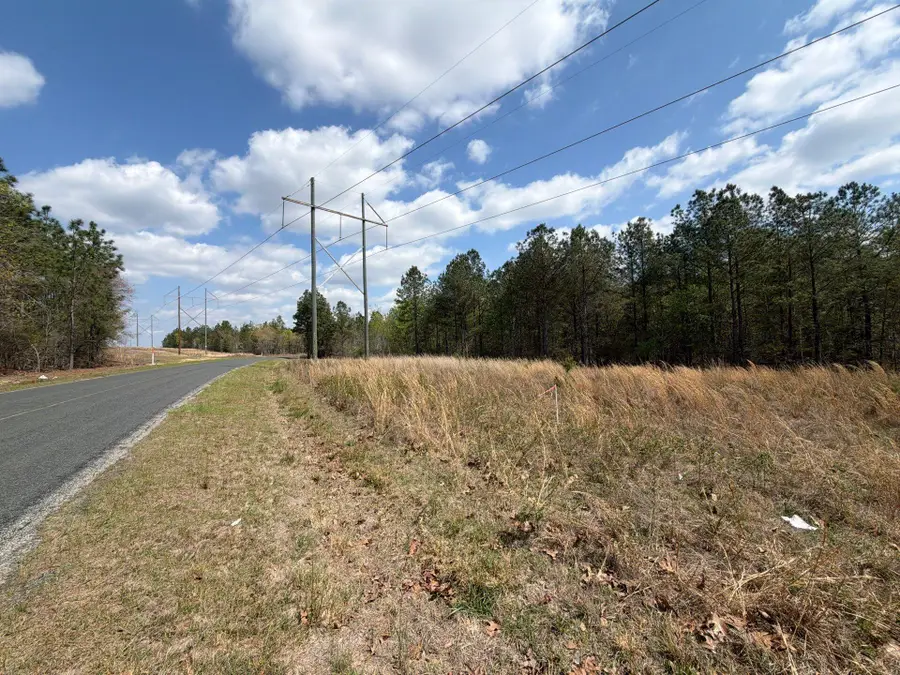Cva 2 Mt. Calvary Road #Cva 2, Ridge Spring, SC 29129 - #2