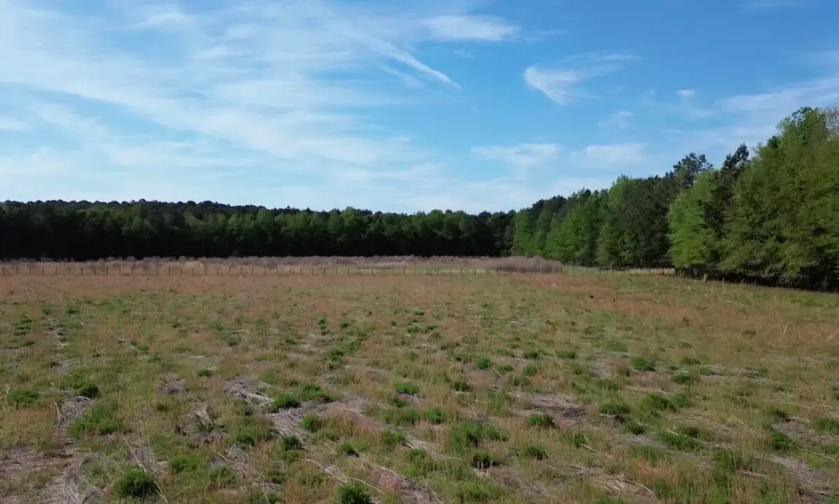 000 Jefferies Highway, Walterboro, SC 29488 - #1