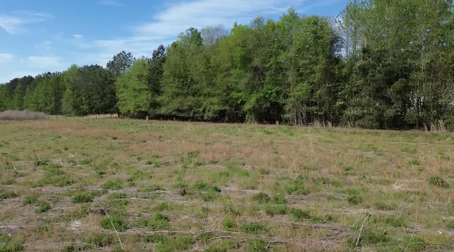 000 Jefferies Highway, Walterboro, SC 29488 - #2