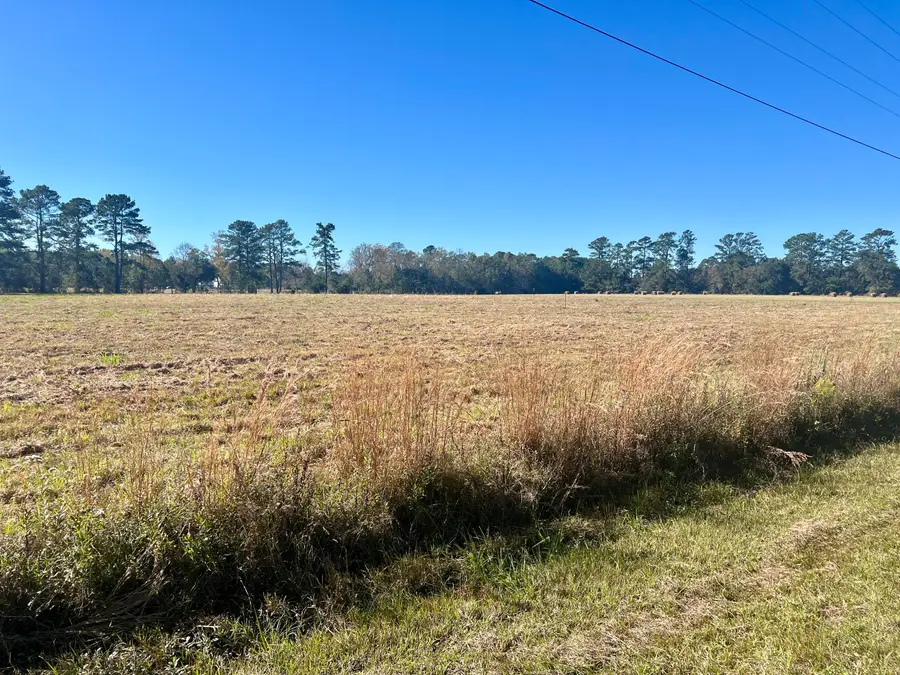 715 Nunuville Road, Walterboro, SC 29488 - #2