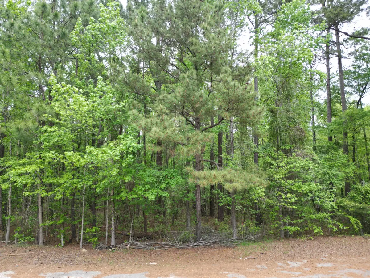 231 Morningside Drive, Saint Matthews, SC 29135 - #1