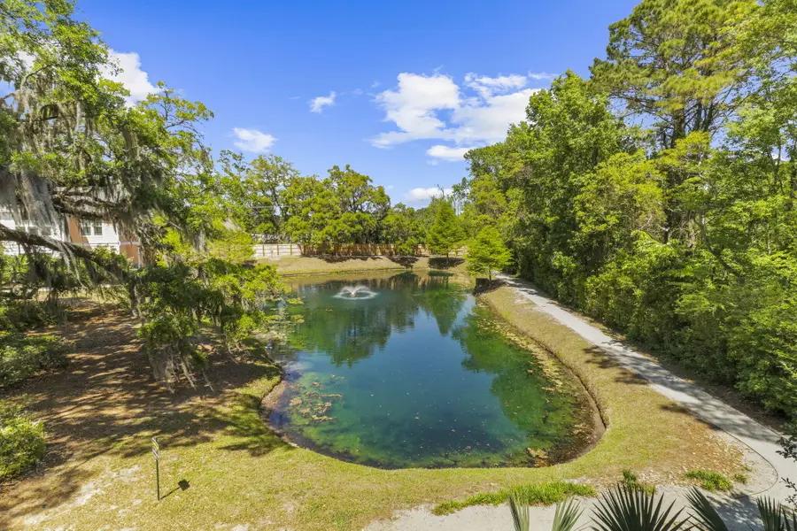 1925 Chatelain Way, Mount Pleasant, SC 29464 - #3