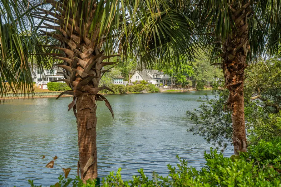 593 Marshgrass Boulevard, Mount Pleasant, SC 29464 - #2