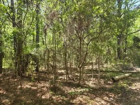 0 Bears Bluff #Lot B, Wadmalaw Island, SC 29487 - #2