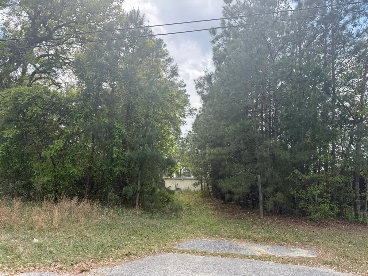 0 Old Back River Road Road, Goose Creek, SC 29445 - #1