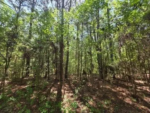 00 Bears Bluff #Lot C, Wadmalaw Island, SC 29487 - #3