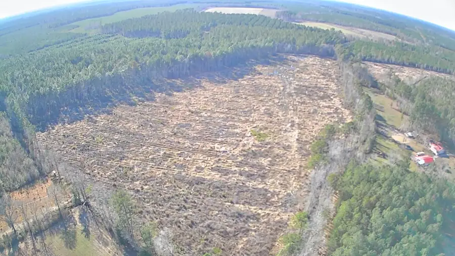 Tbd E Mt Carmel Road, Walterboro, SC 29488 - #2